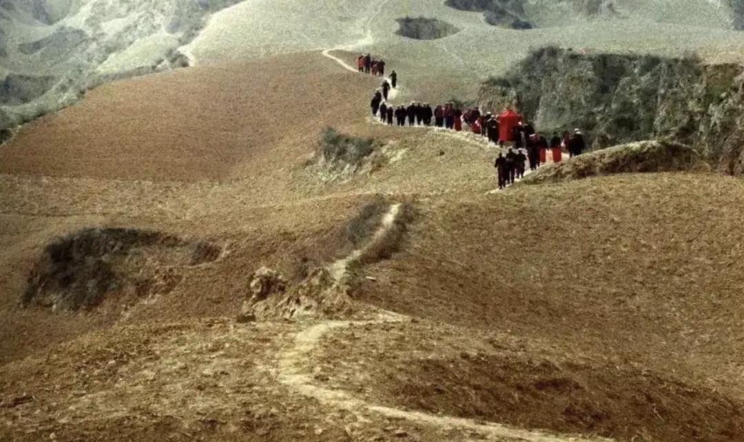 被外貌耽误的女歌手演员,被长相耽误演技的演员