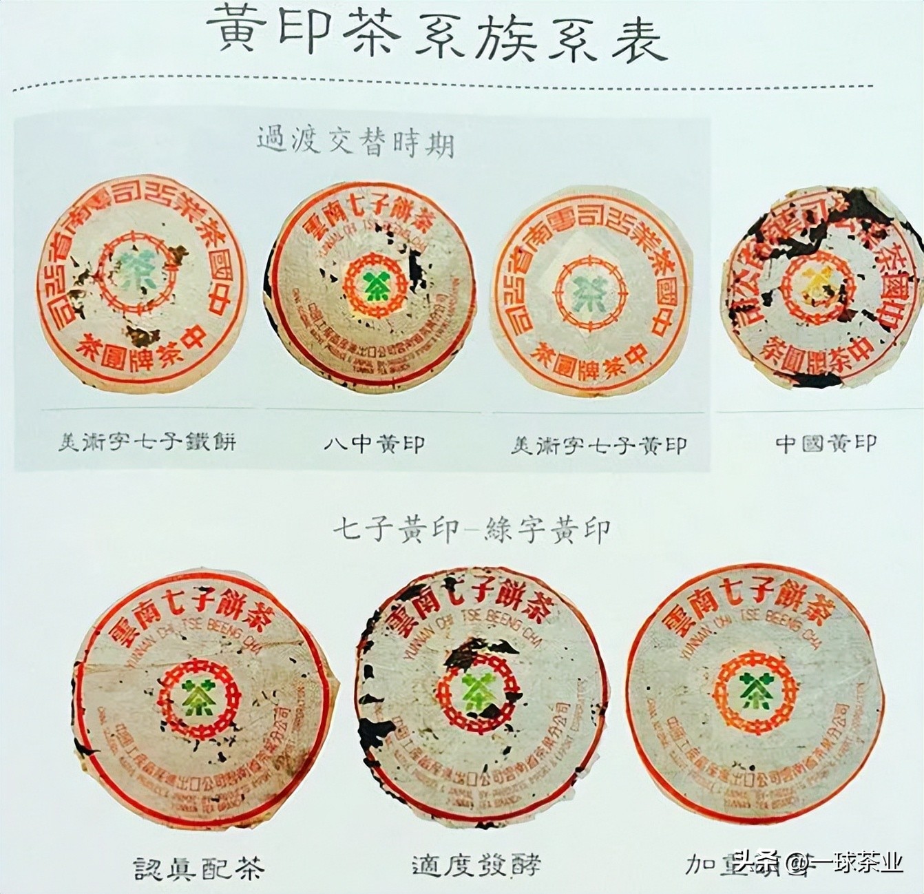 同庆号普洱茶黄印和红印的区别,普洱茶红印黄印绿印什么区别