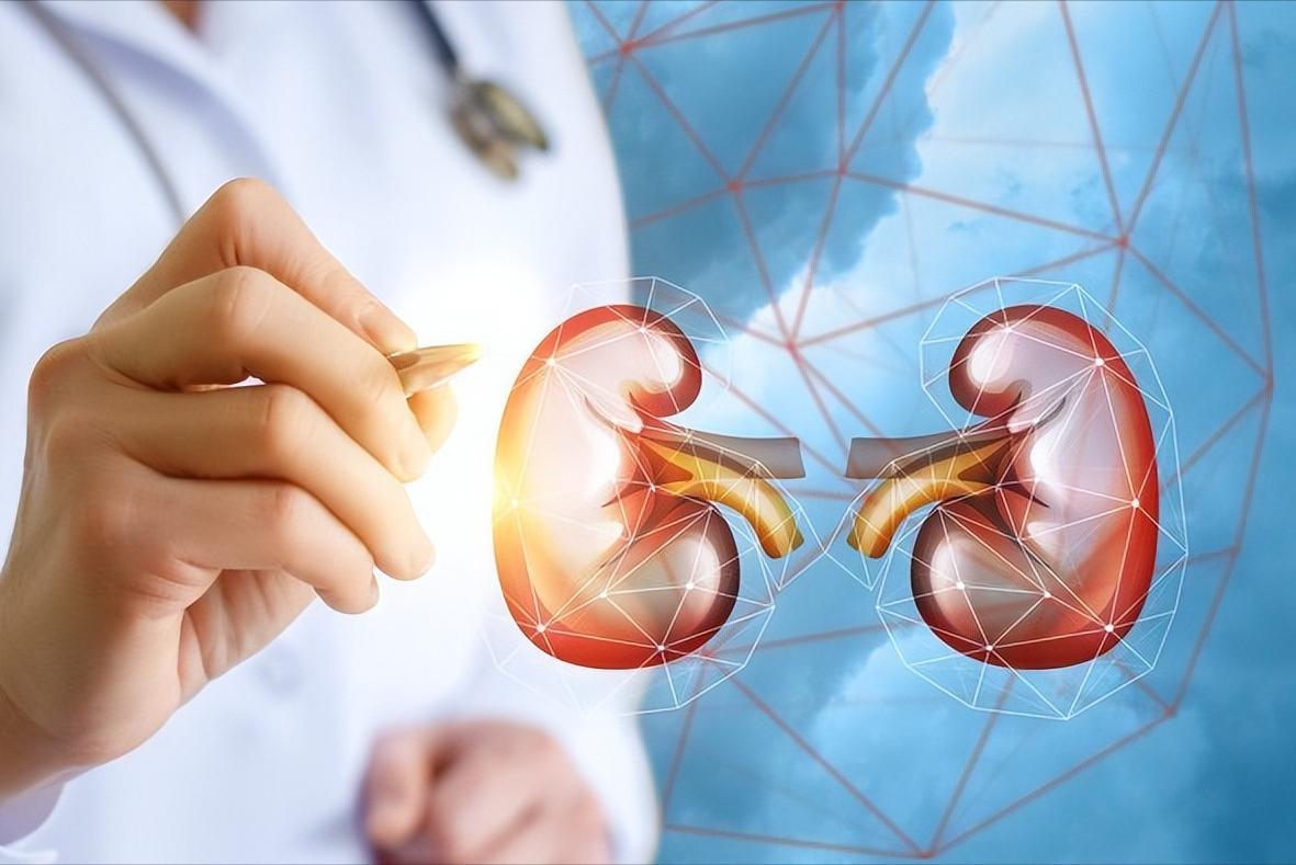 什么食物生精强肾,强肾补肾的食物有哪些