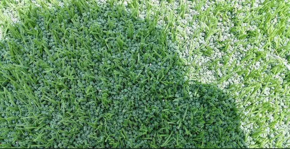 草坪养护撒石灰还是先播种,草坪养护是否复杂