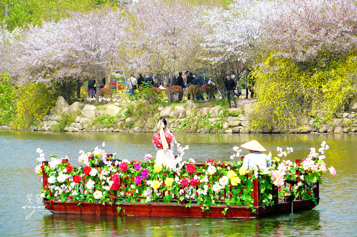 武汉看樱花半日游,武汉看樱花一日游