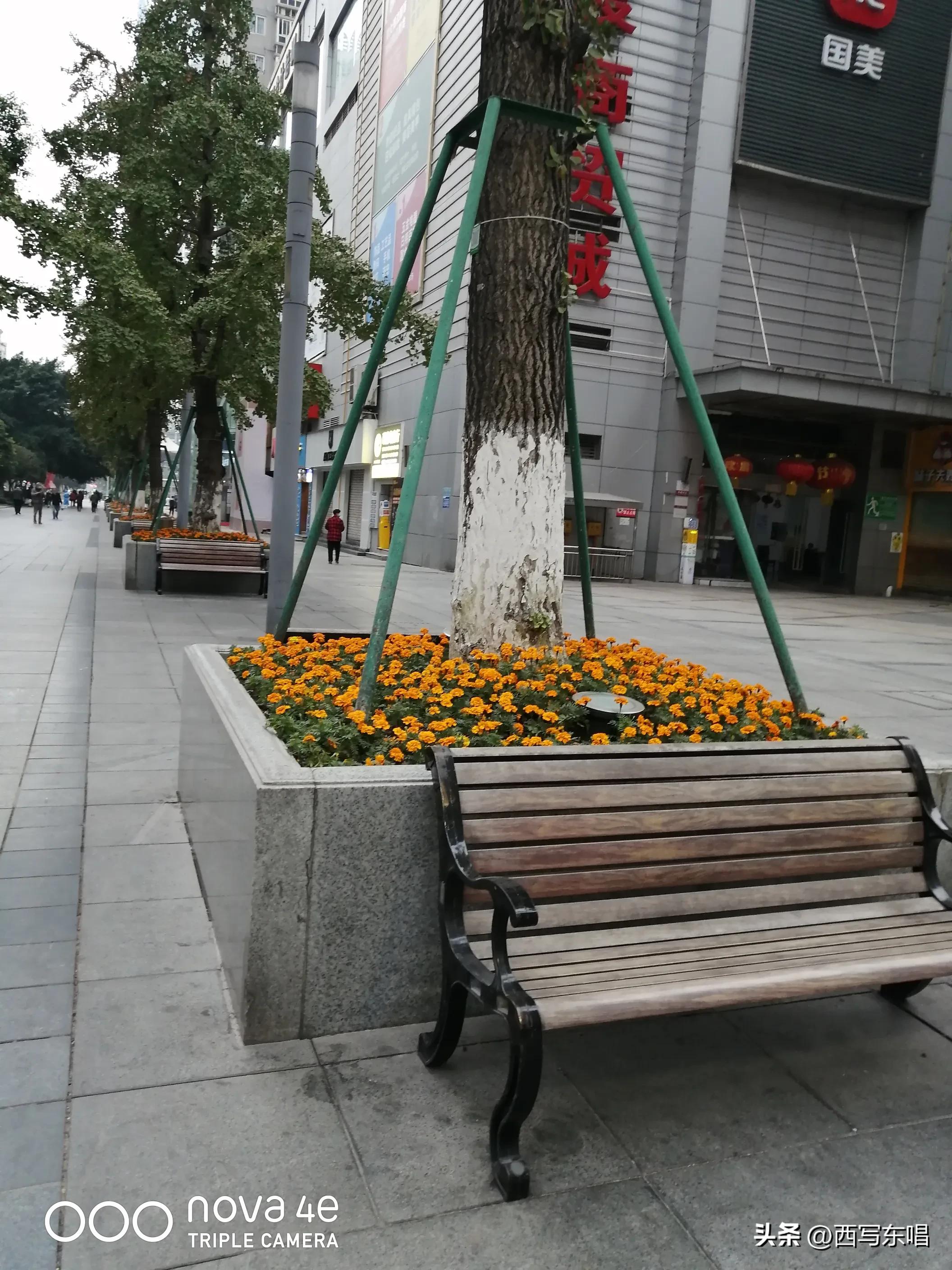 带你进入重庆,邂逅重庆