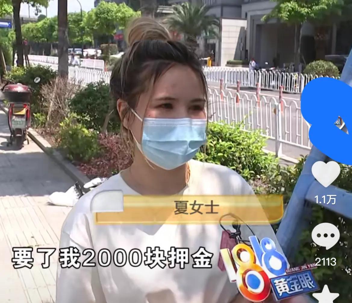 网上领养猫被骗1万,女子将猫寄养疑似被骗