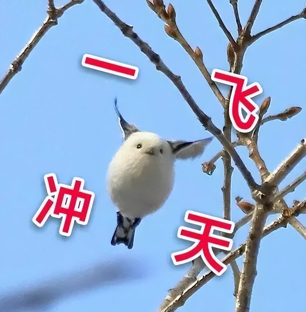 推书君近期新书：「仙侠·都市·历史·奇幻」新书·幼苗推荐