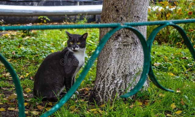 核事故的危害,核事故幸存者