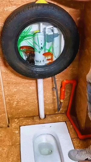 腰肌劳损的搞笑图,搞笑职业病动图