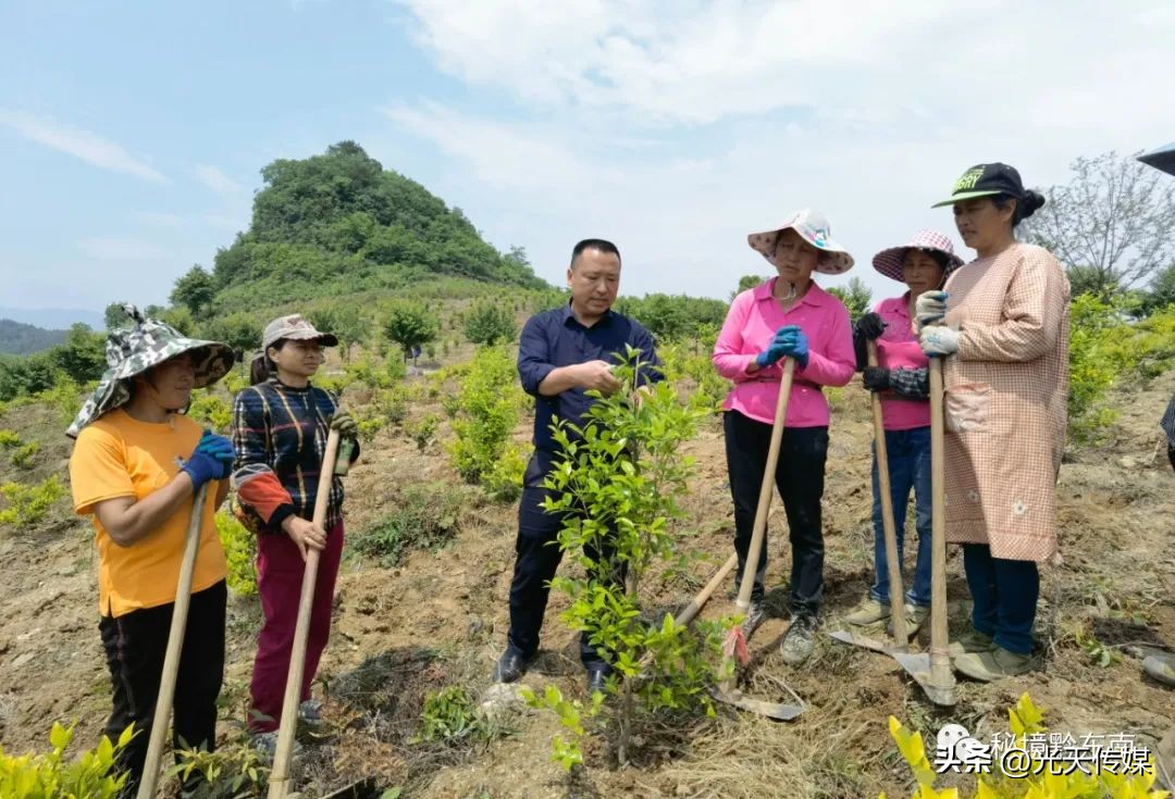 贵州吴光荣所有的视频,吴光荣同志