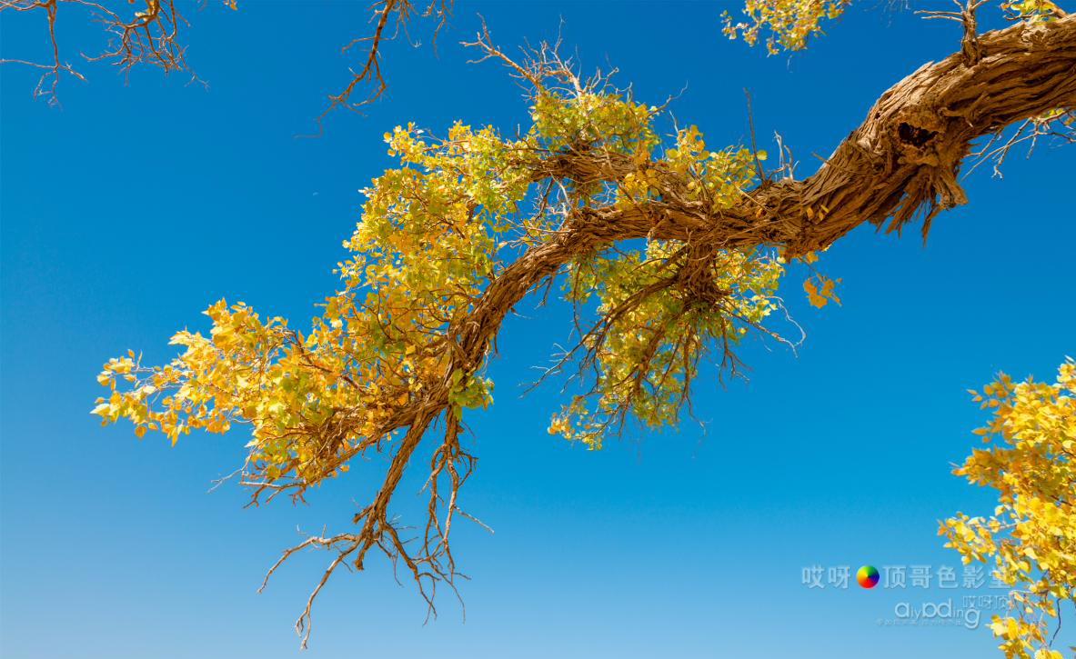 女司机带娃去新疆自驾游,带着女司机自驾游兰州