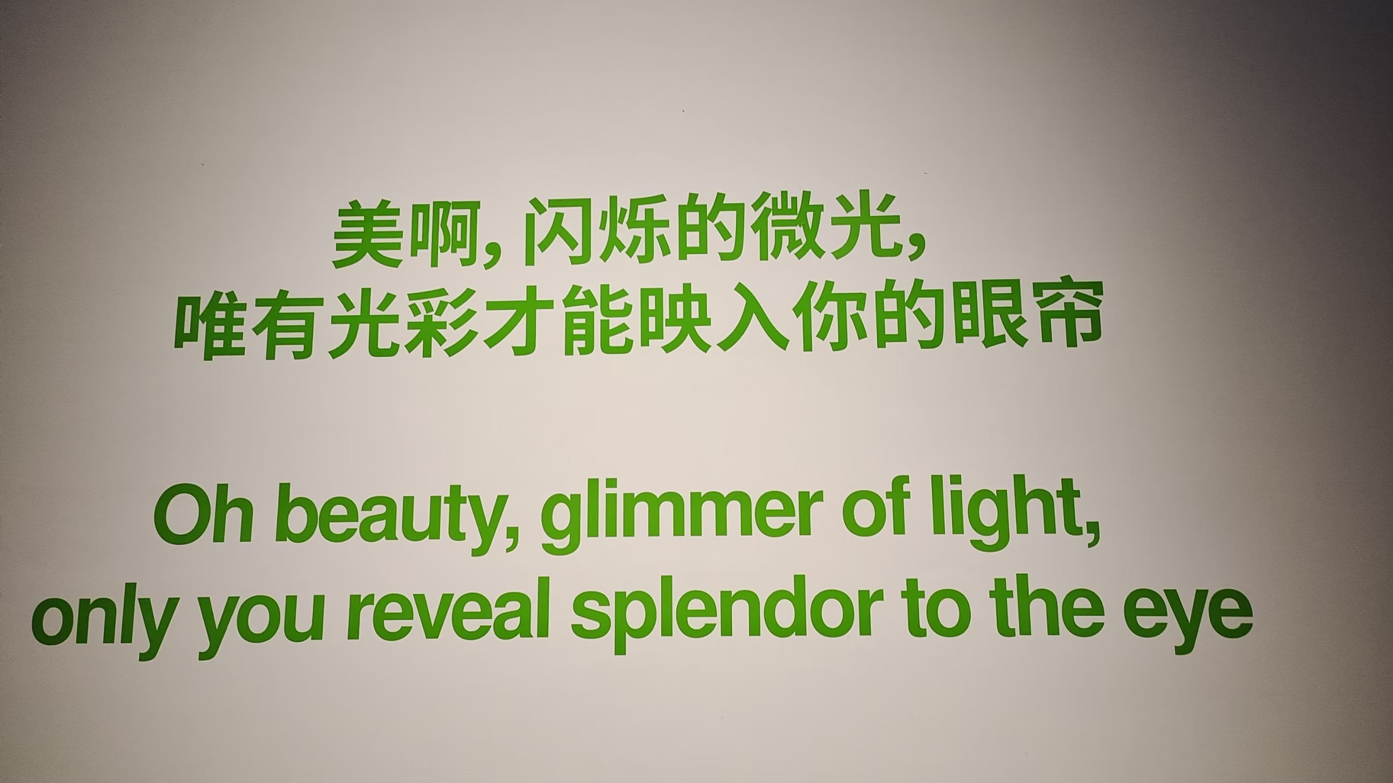 研学上海旅游攻略,上海研学旅行攻略