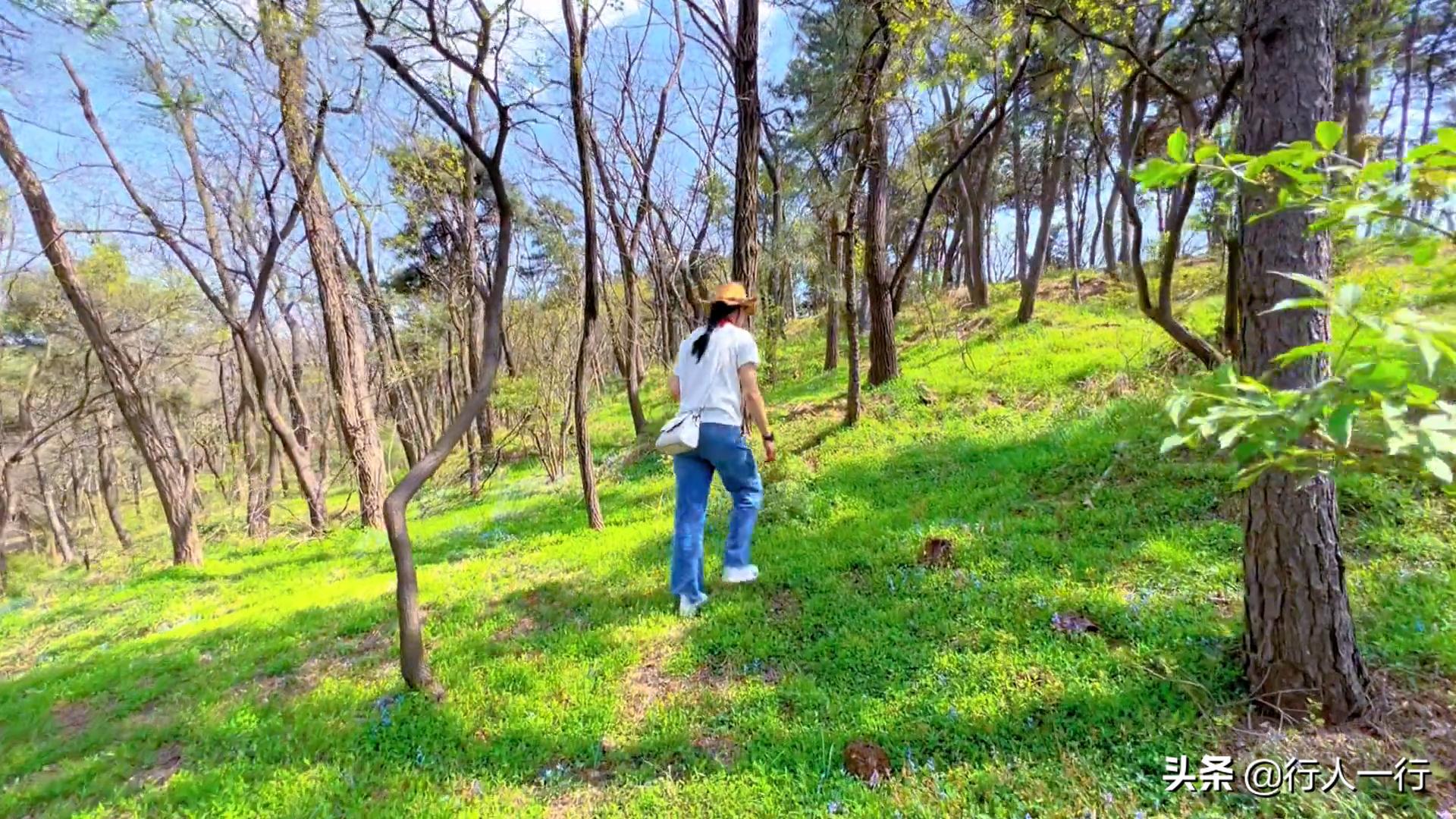 郑州周边夜晚露营地推荐,郑州露营旅游地点推荐