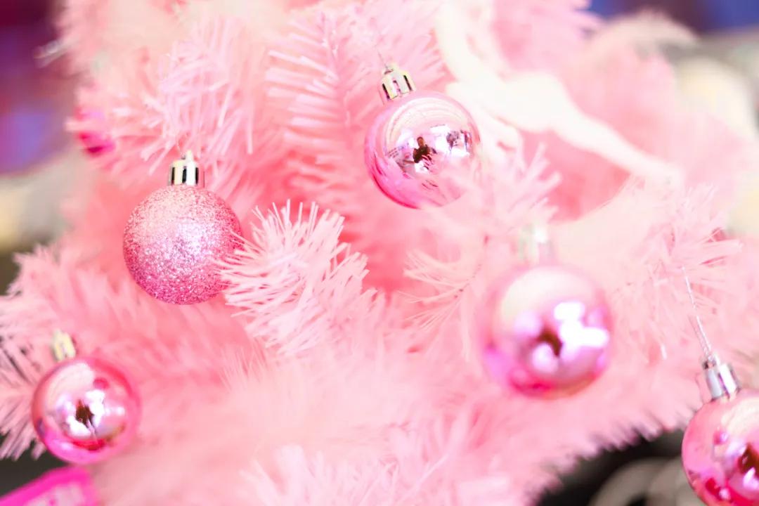 j-tea魔杰的茶哈尔滨店,j-tea魔杰的茶加盟费