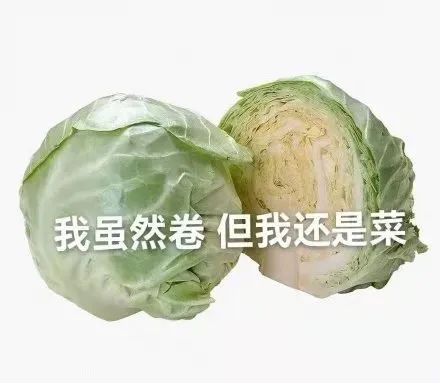 暑假公认计划表,暑假计划推荐