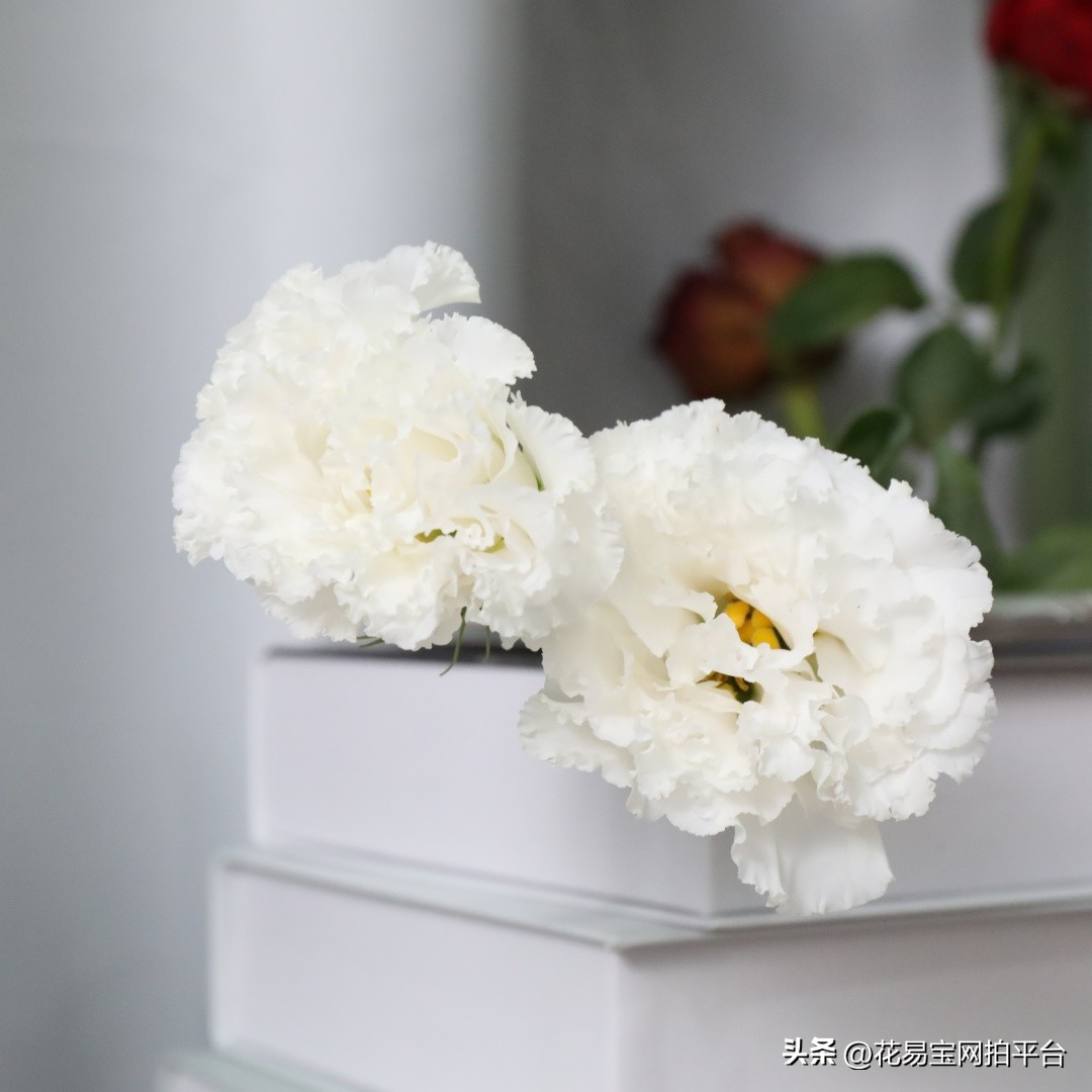 女神节快到了，哪些花材值得备货？内含优质卖家推荐！