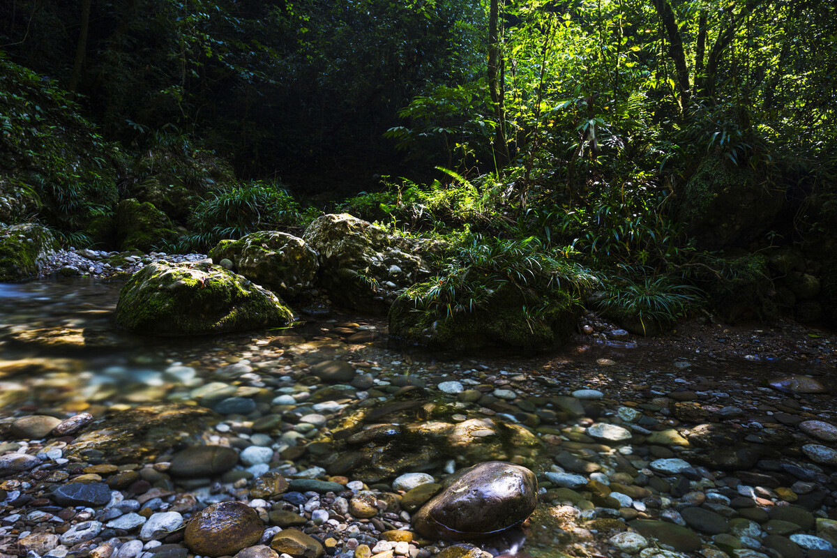 问道青城山，一座值得你爬了又爬的山