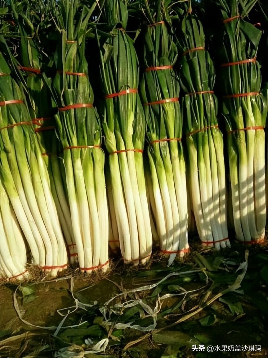 各省特产试吃视频介绍大全,全国各省的特产介绍图片版