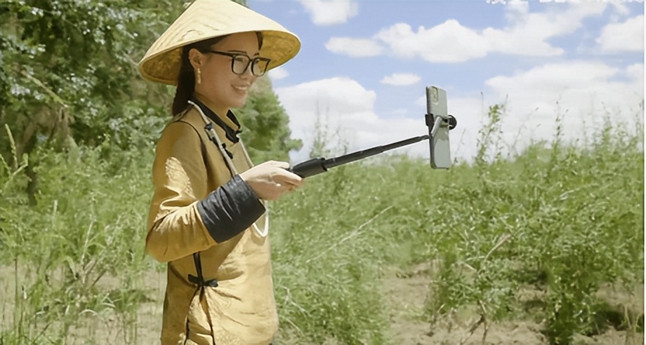 90后女孩放弃大城市，回高原当农民年销200吨枸杞，营业额上千万
