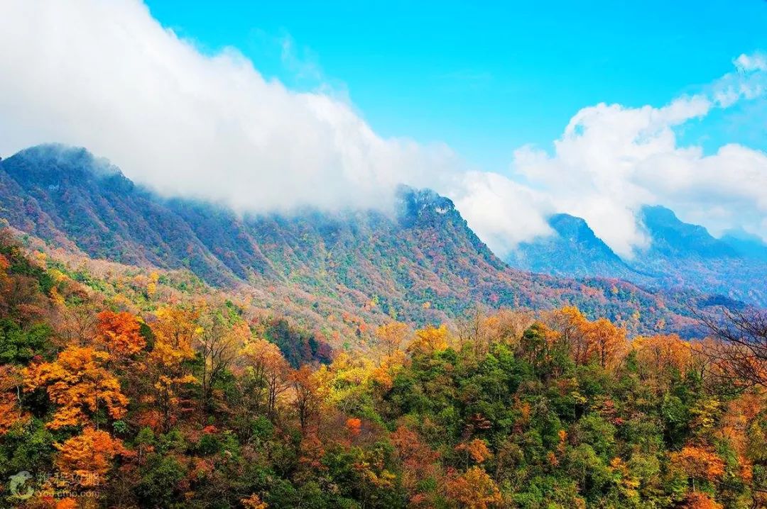 四川光雾山风景视频,光雾山旅游景区