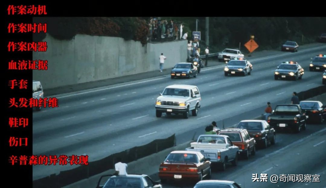 辛普森案真相解析,辛普森案真相解密