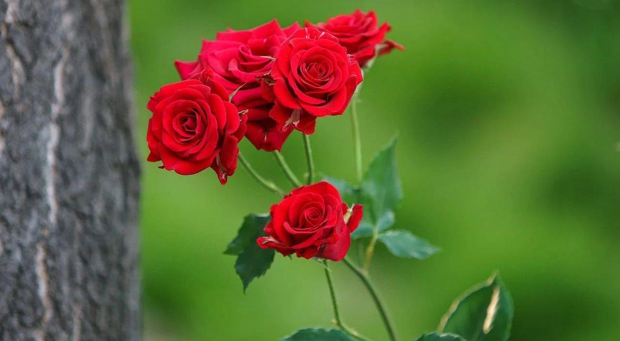 女人长期和男人分居怎么回事,夫妻之间女人不主动亲近后果