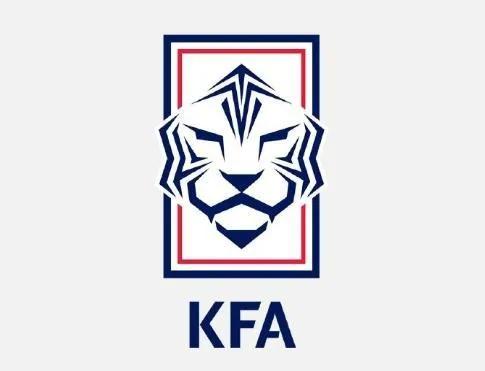 韩国世界杯32强巡礼,世界杯32强之韩国