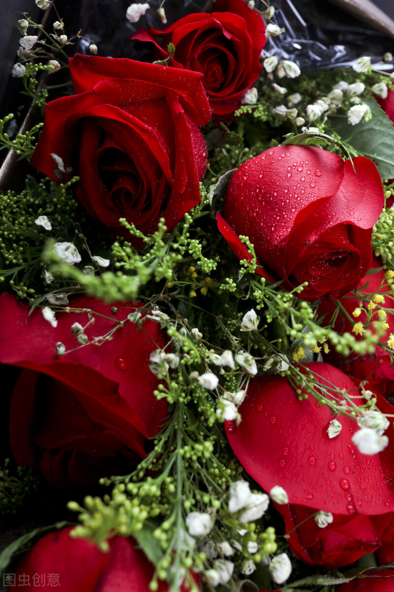 玫瑰花语大全短句子,玫瑰花语大全