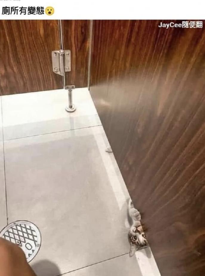 情人节冷笑话段子,情人节冷笑话段子大全