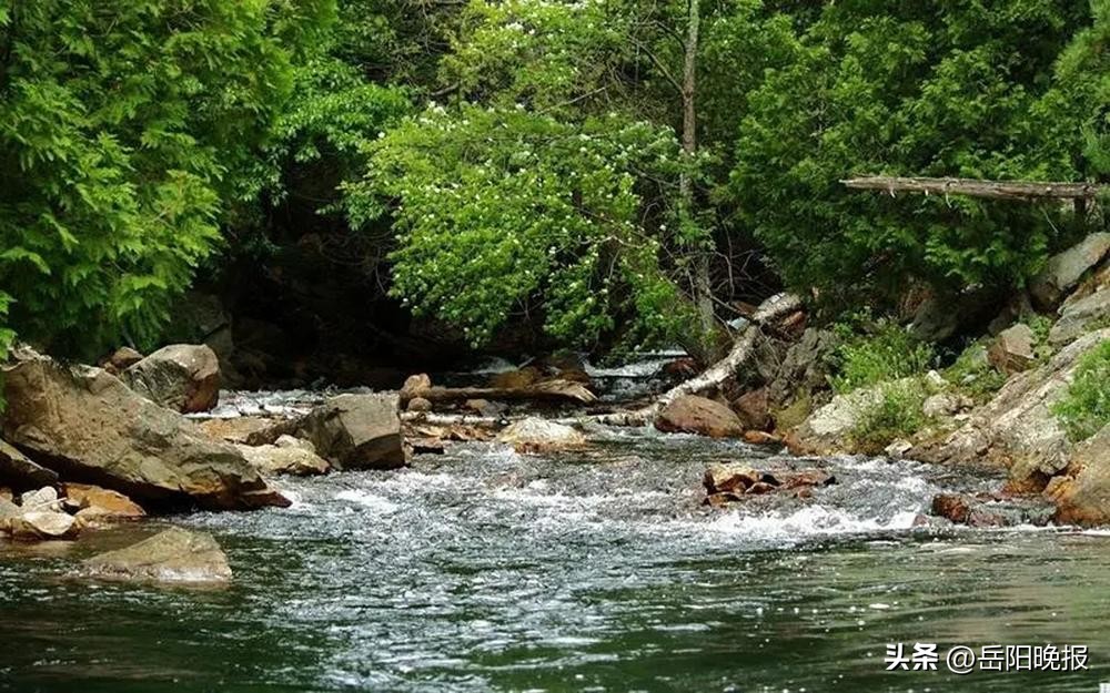 遗失的河流歌曲创作,遗失的河流故事