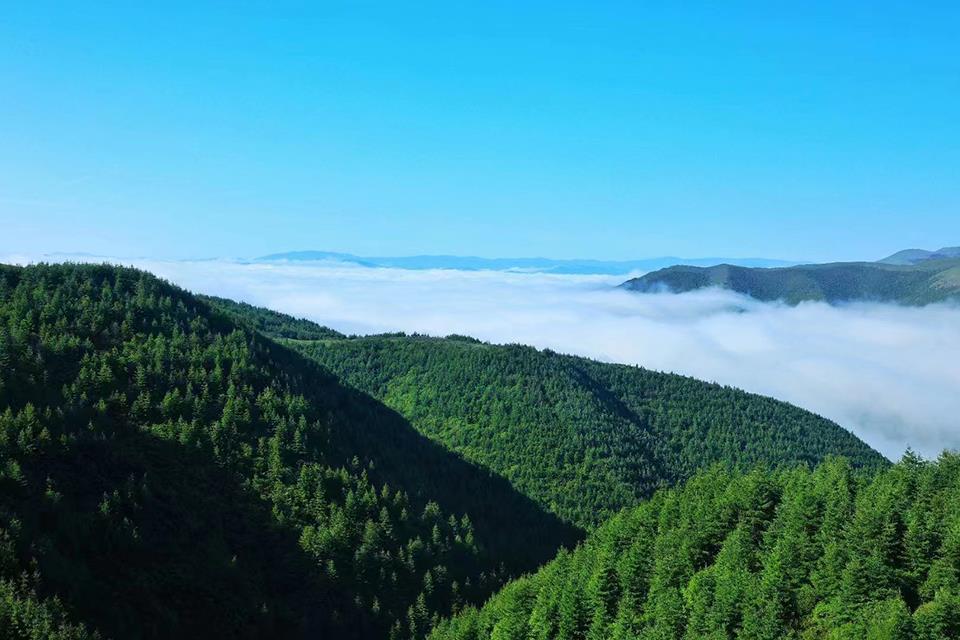 天然氧吧养生避暑,天然氧吧休闲养生的好地方