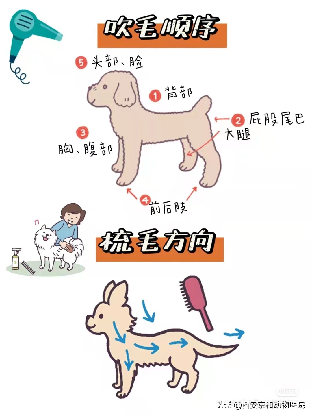 狗狗洗澡流程家庭版,狗狗洗澡全过程宠物店