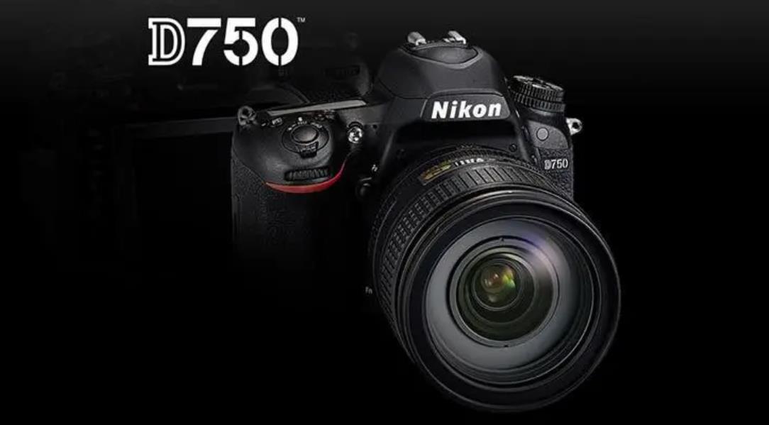 拍人像相机推荐最新款,阴天室外人像摄影相机推荐