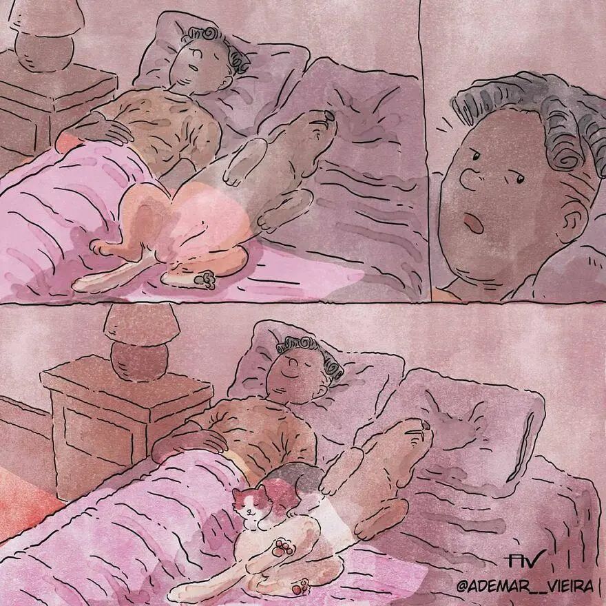 一部关于宠物的漫画,一套暖心的宠物漫画