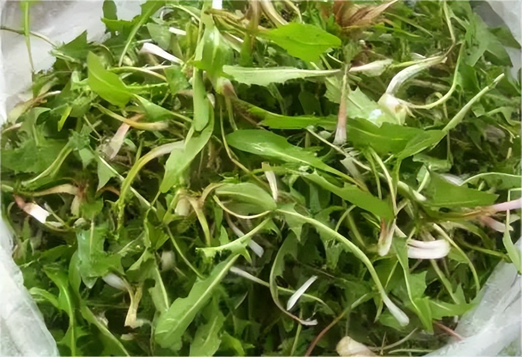 去哈尔滨必吃的9道菜,去哈尔滨必去的十大美食