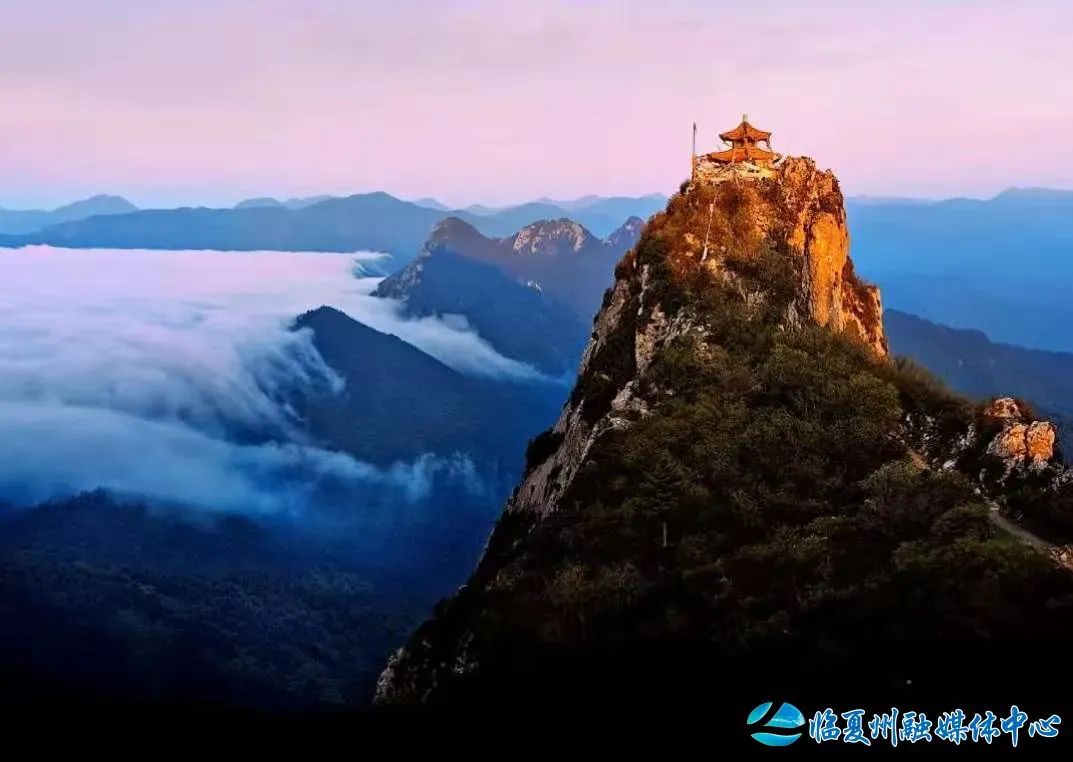 2024骞村宸磋兒閰嶈壊,缁胯壊鐨勫宸磋兒閰嶈壊