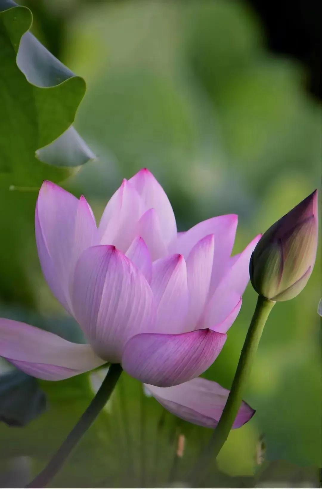 人生就是一场旅行呀,人生就是一场旅行完整版