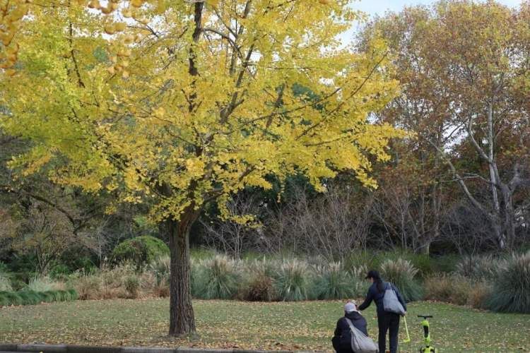 最值得打卡的动物园,国庆必打卡动物园推荐