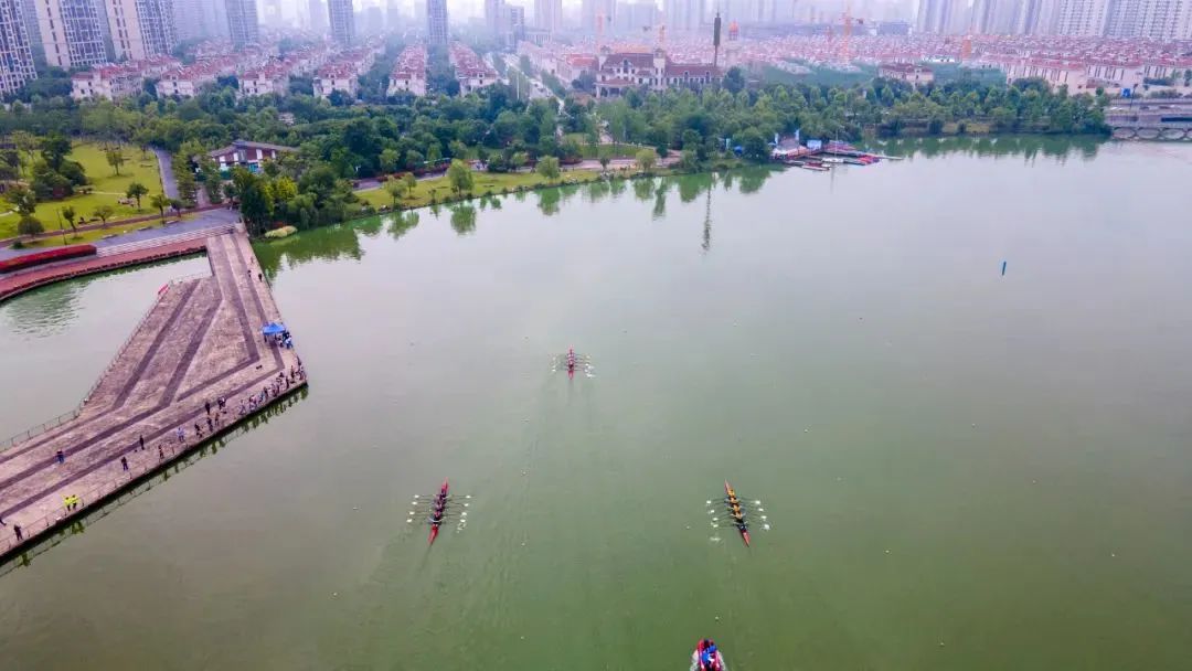 满满的知识点归纳,金华省运会知识