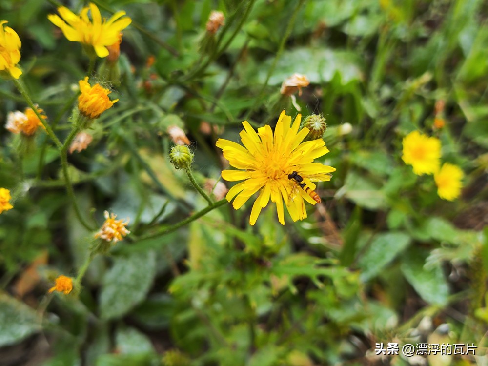 12月红米note12turbo还值得买吗,为什么更推荐红米note12turbo