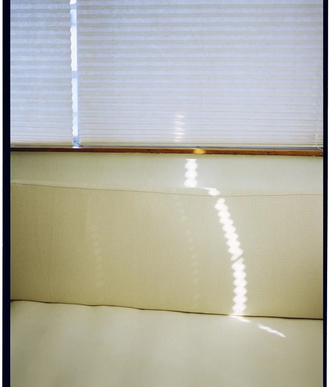 独居上瘾,独居真的很上瘾