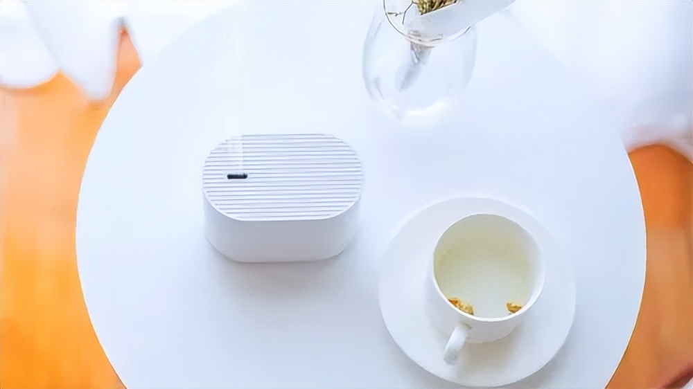 夏天家里蚊虫多教你一招不用蚊香,怎么驱蚊虫室内没有蚊香