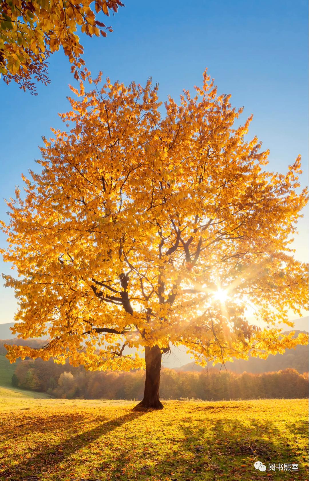 反经：论士（四）