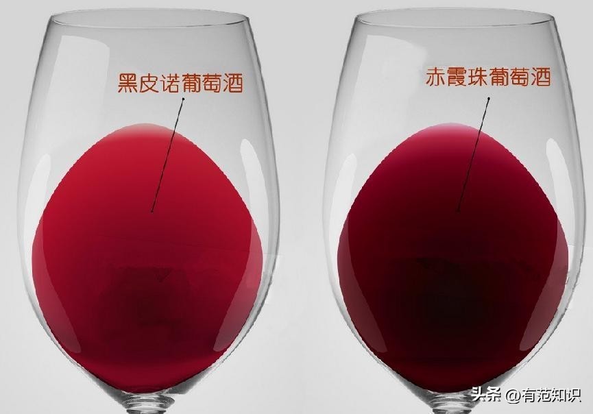 酿造葡萄酒的基本步骤,如何酿造香气扑鼻葡萄酒