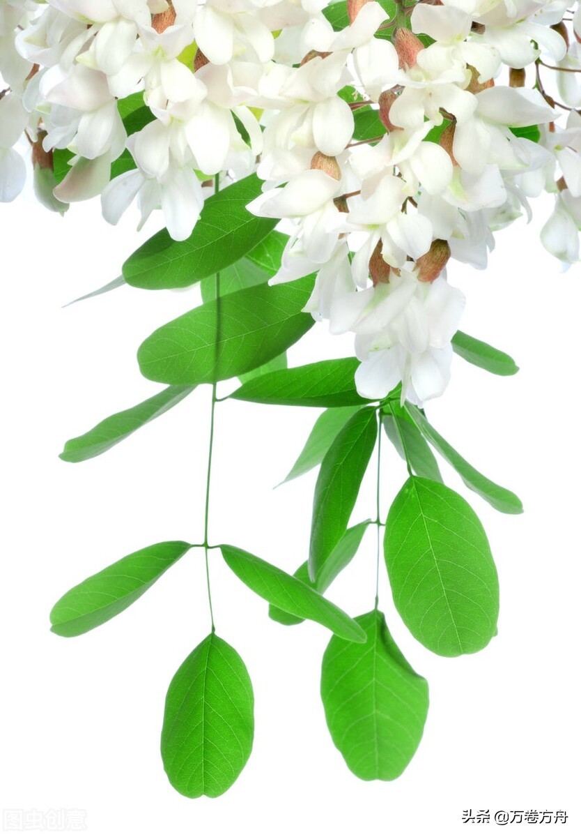 母亲走了如何走出悲伤,妈妈走了如何化解内心痛苦