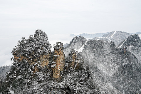 飞雪迎春山花烂漫,飞雪迎春绽玉蕊