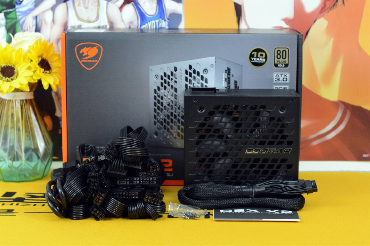 质保10年、金牌、全模组，真ATX3.0、原生PCIE5.0，骨伽GEXX2入手