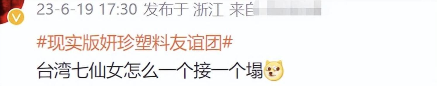 以大s为首的七仙女,台湾七仙女大s现状