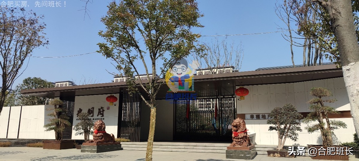 大力开发的滨湖西成色如何，班长跑遍16个项目带你看真实的板块