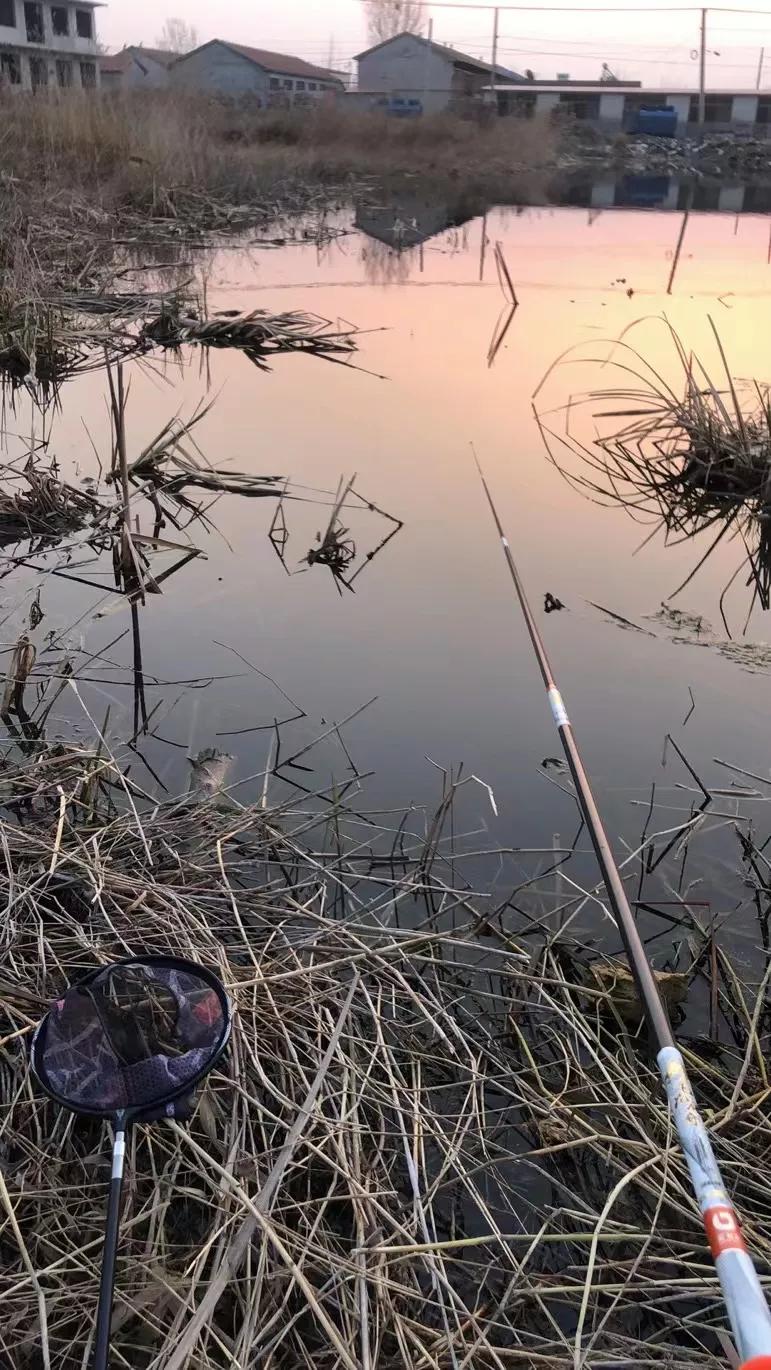 野钓传统钓鱼竿多少米最合适,传统钓鱼竿如何选购