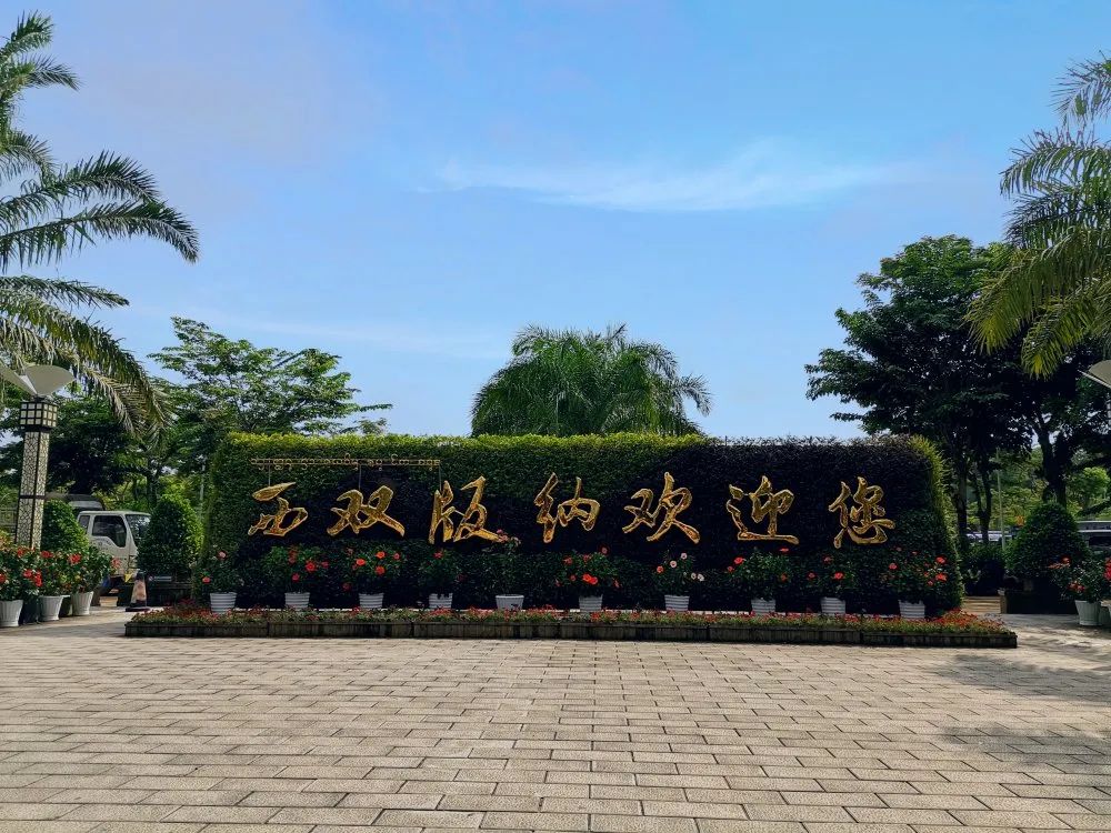 云南西双版纳热带雨林气候,云南的西双版纳冬天依旧色彩绚烂