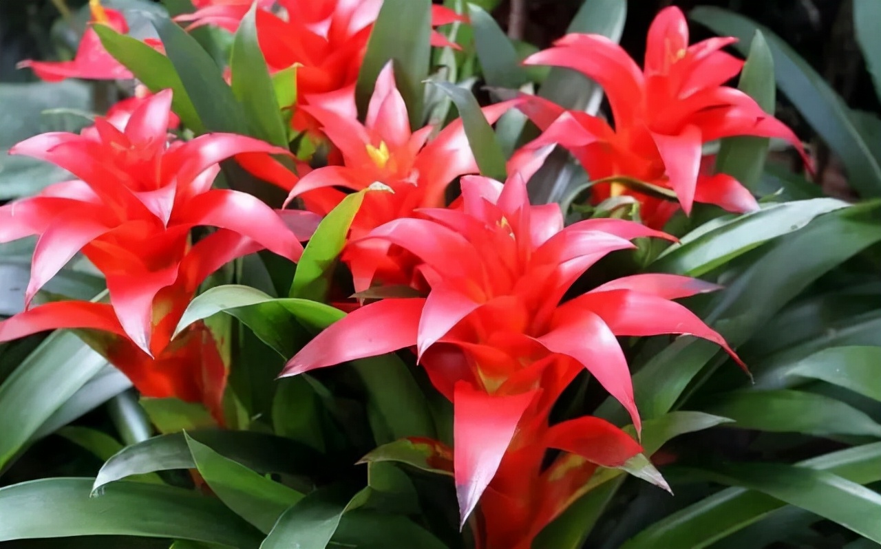 琚獥浜嗕竴娆″氨寰堥毦鎵惧洖鏉ヤ簡,琚獥鍚庤姳浜嗕竴骞磋蛋鍑烘潵