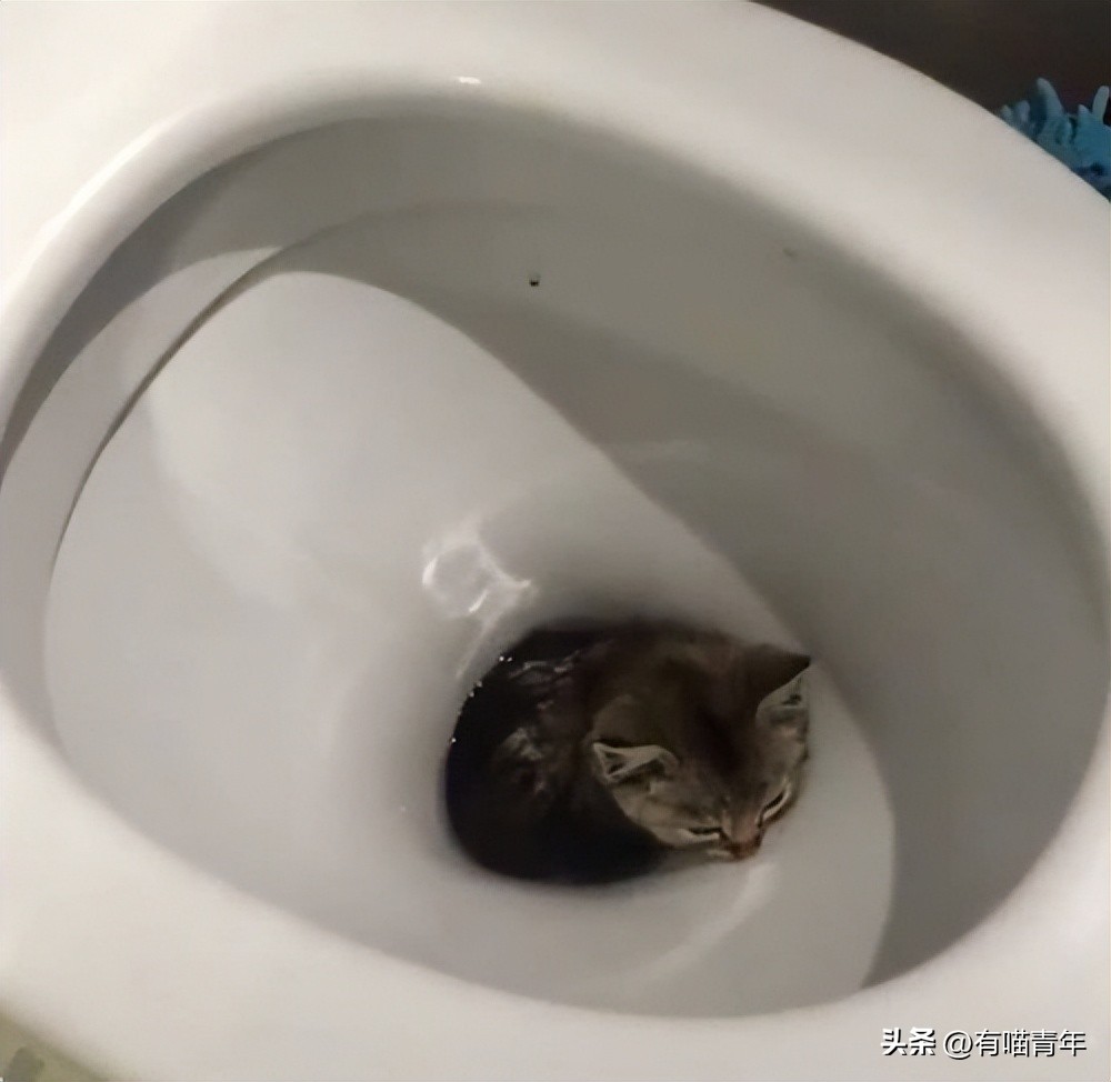 鑷粠鍏讳簡鐚氨鍐嶄篃娌℃湁涔拌繃琛ｆ湇,鑷粠鍏讳簡鐚氨娌＄粰鑷繁涔拌繃闆堕